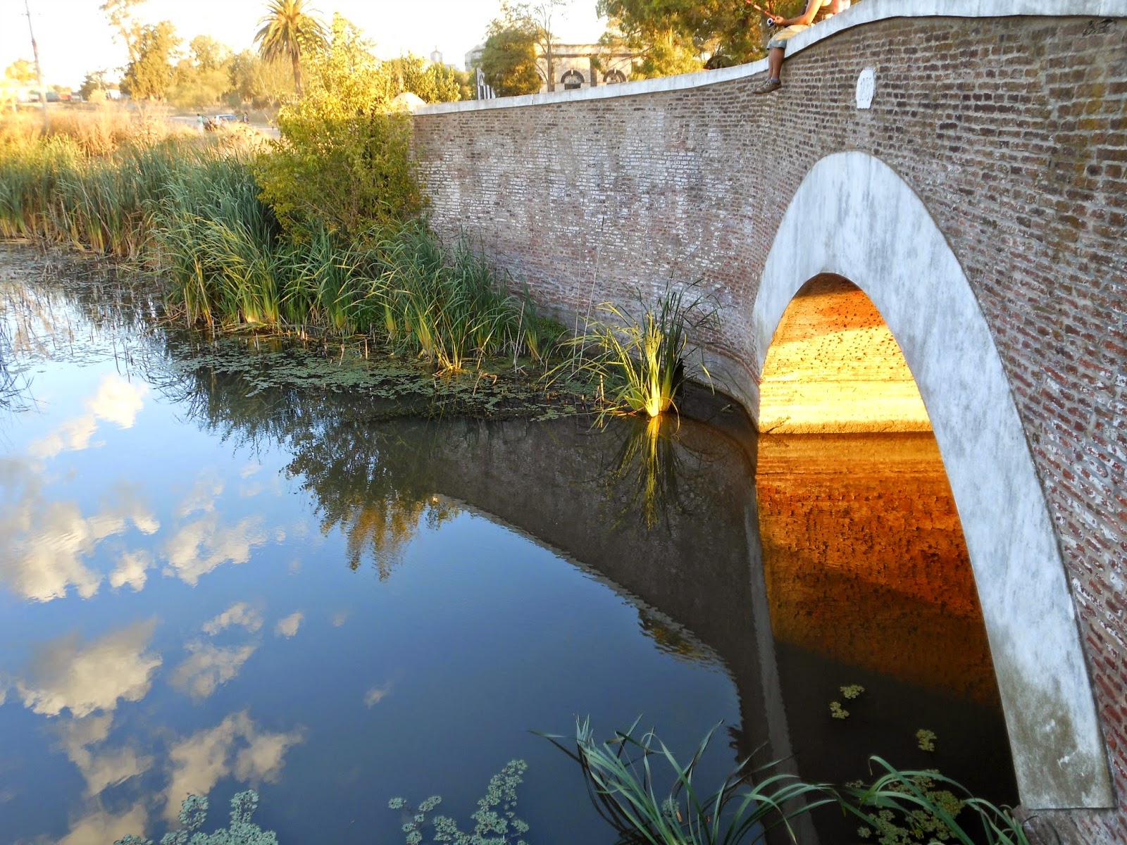 Puente histórico sobre el Arroyo Chapaleofú